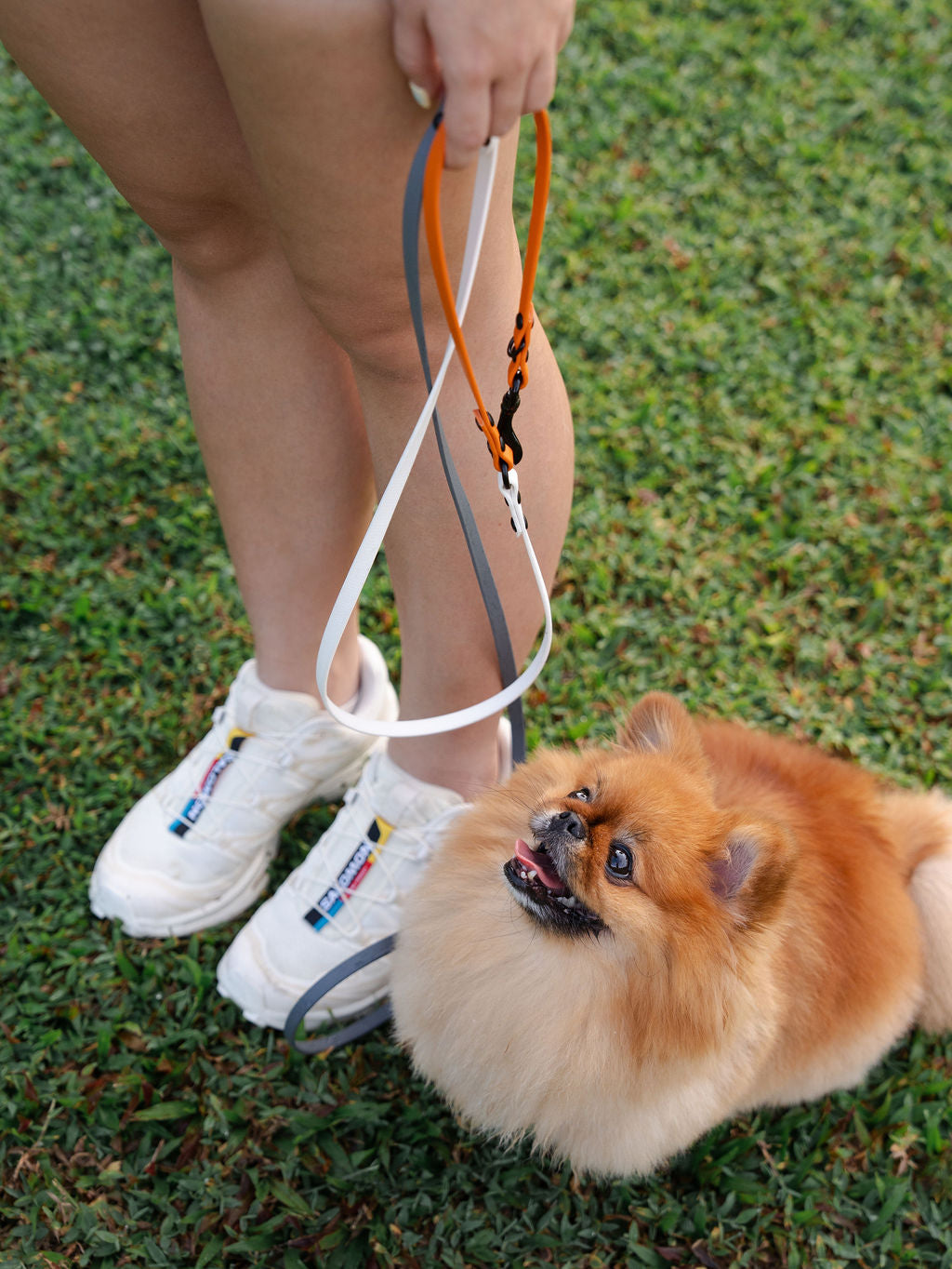 Flexi | Hands-Free Leash