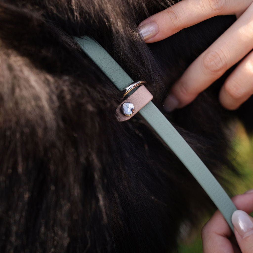 Journey | 1.8m Fixed Slip Leash (Grab & Go)