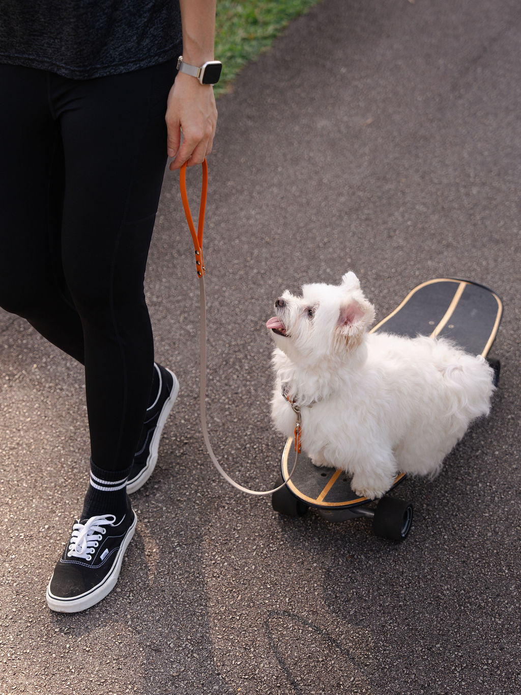 Discover | Classic Leash