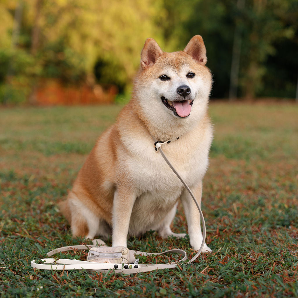 Journey | 1.8m Fixed Slip Leash (Grab & Go)