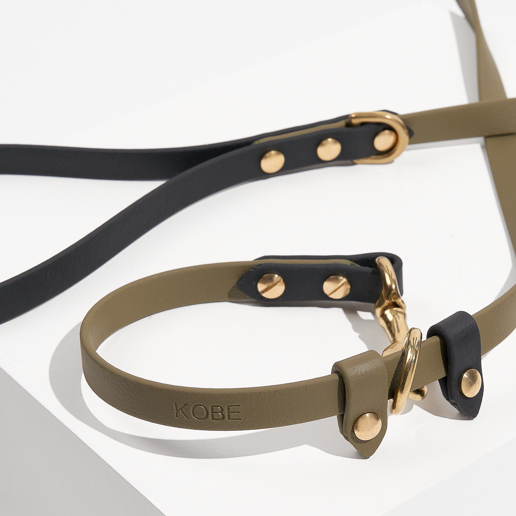 Explore | Classic & Slip Leash