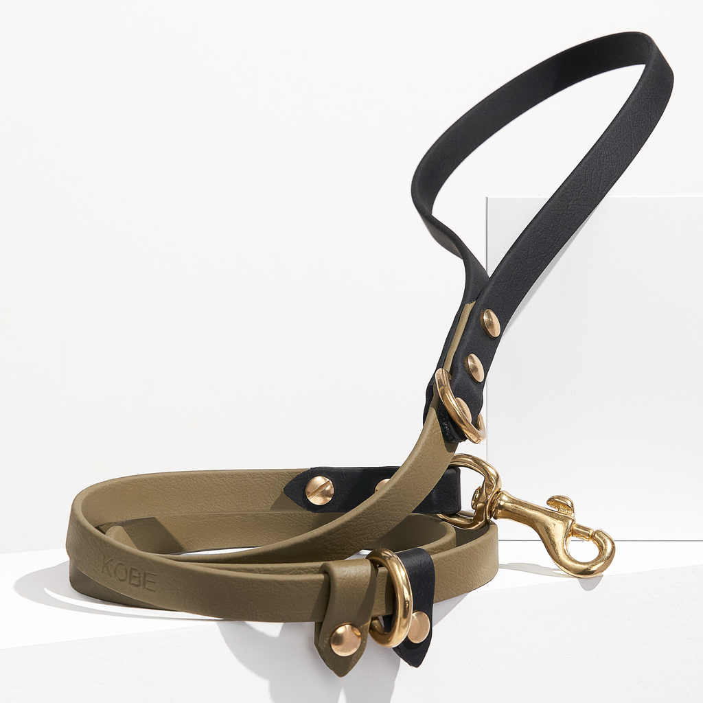 Explore | Classic & Slip Leash
