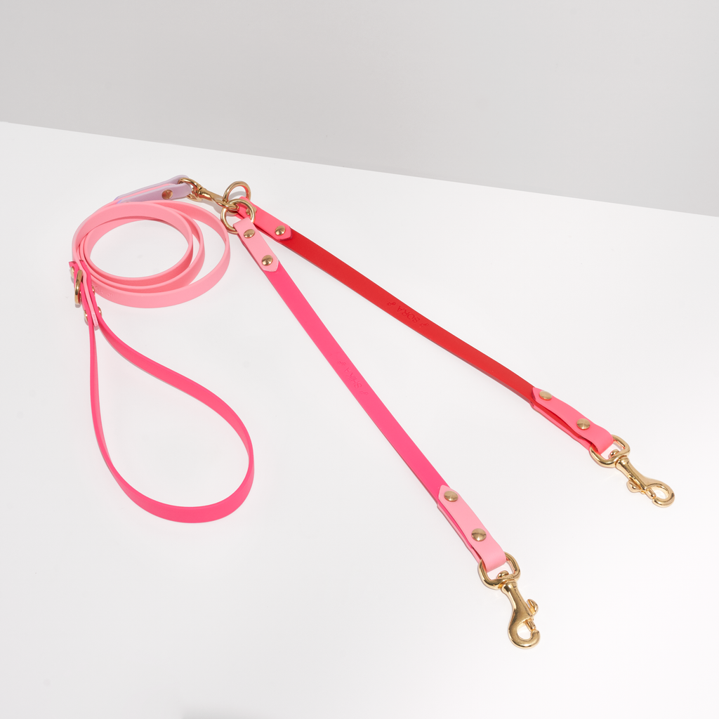 Duo | Split Leashes