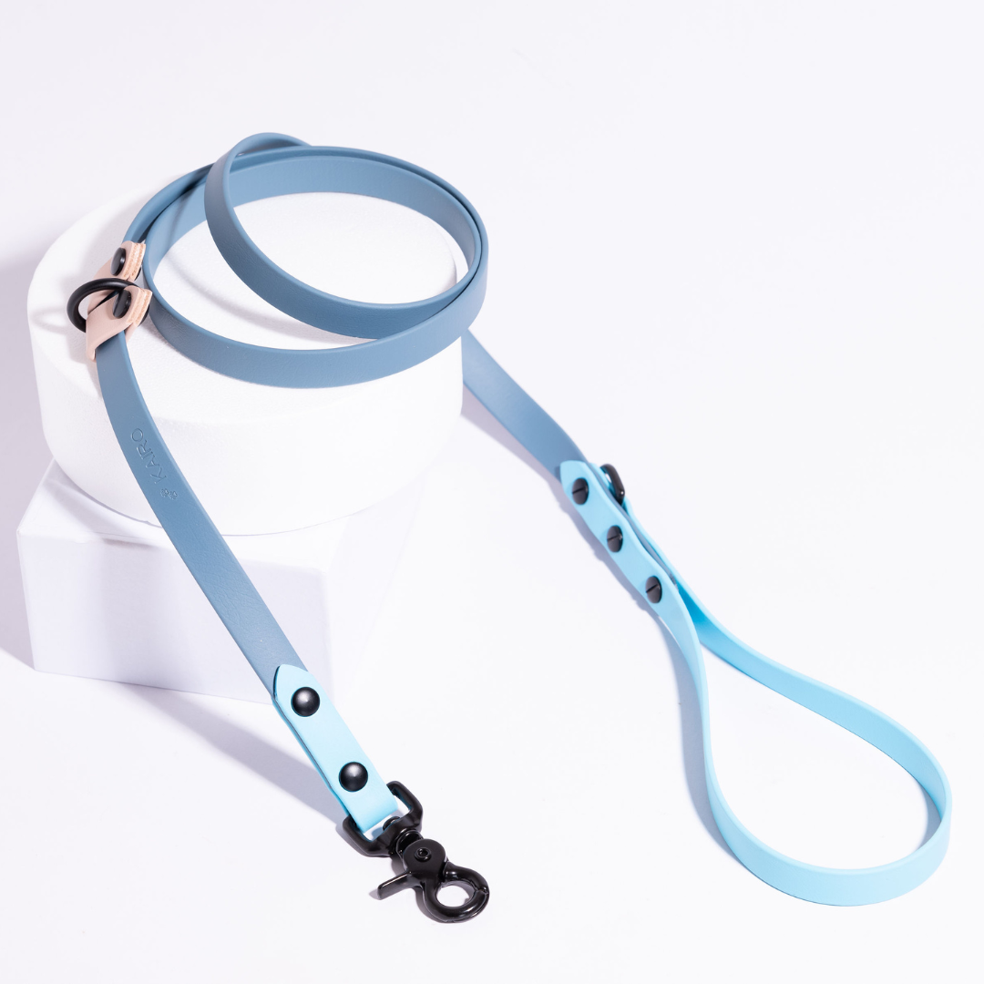 Explore | Classic & Slip Leash