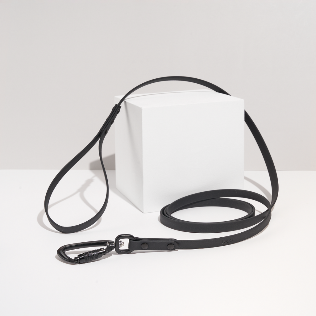 Discover | Classic Leash