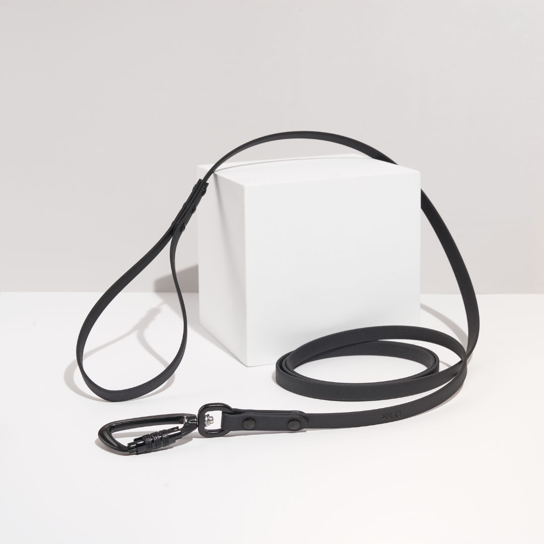 Discover | Classic Leash