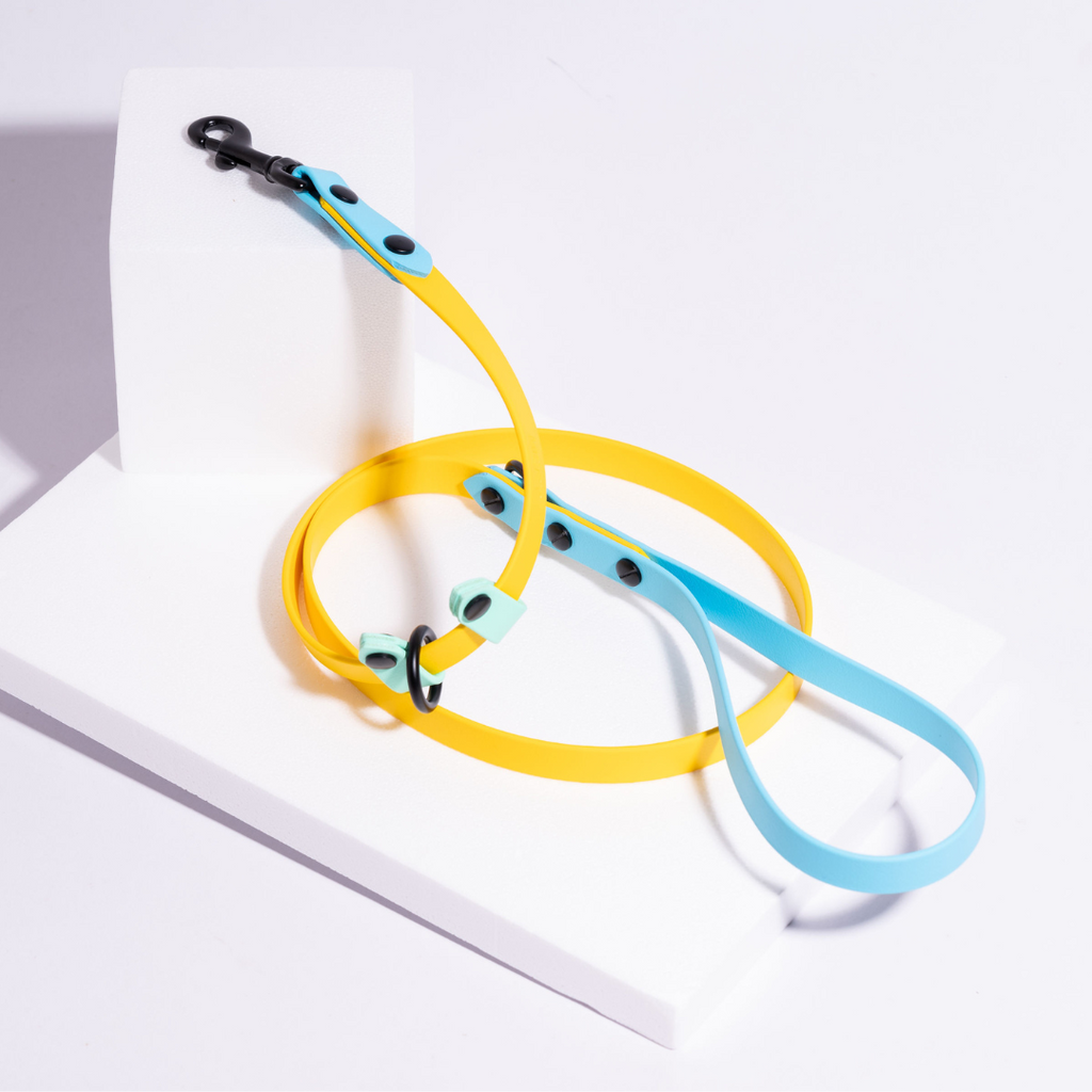 Explore | Classic & Slip Leash