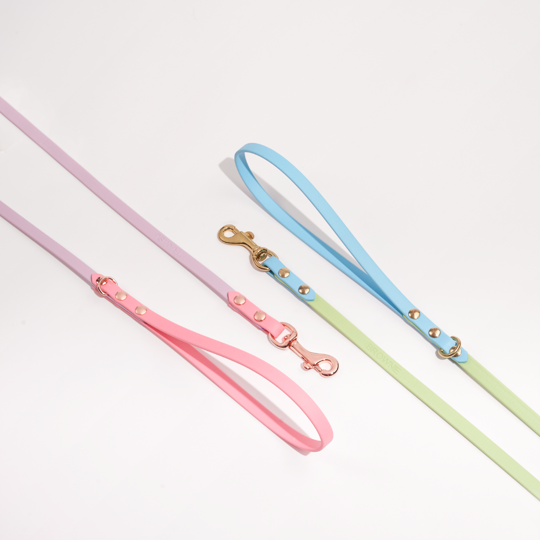 Discover | Classic Leash