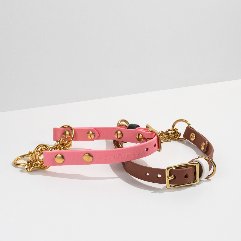 Summit | Adjustable Classic Martingale Collar