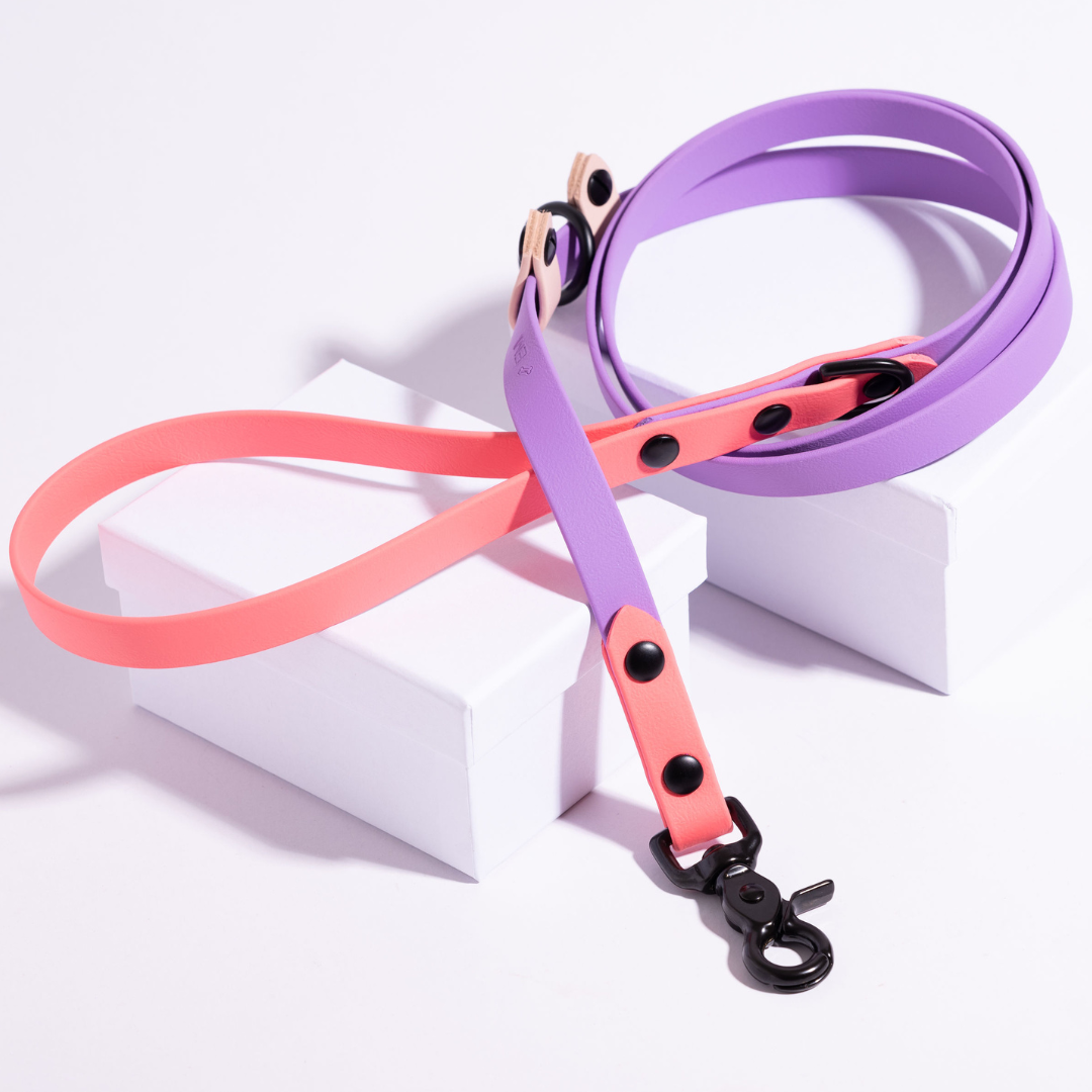 Explore | Classic & Slip Leash