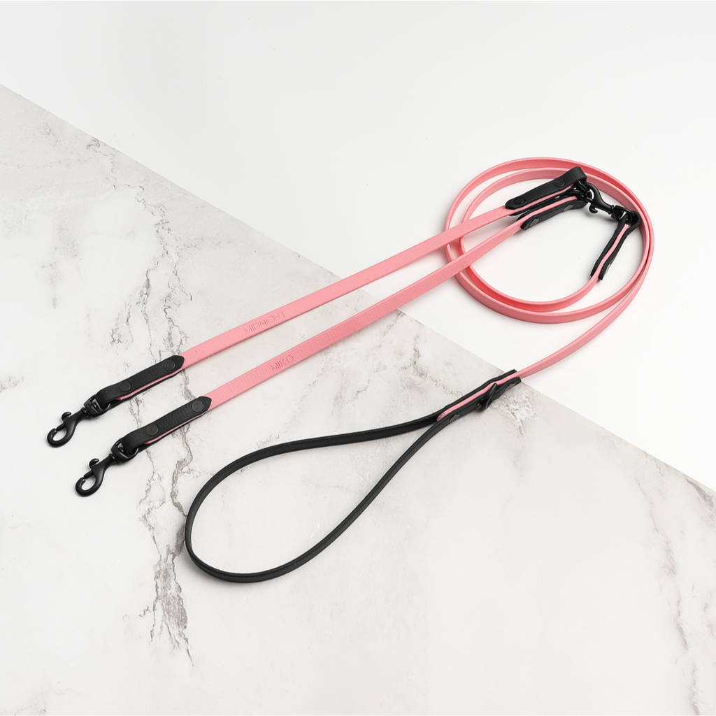 Duo | Split Leashes
