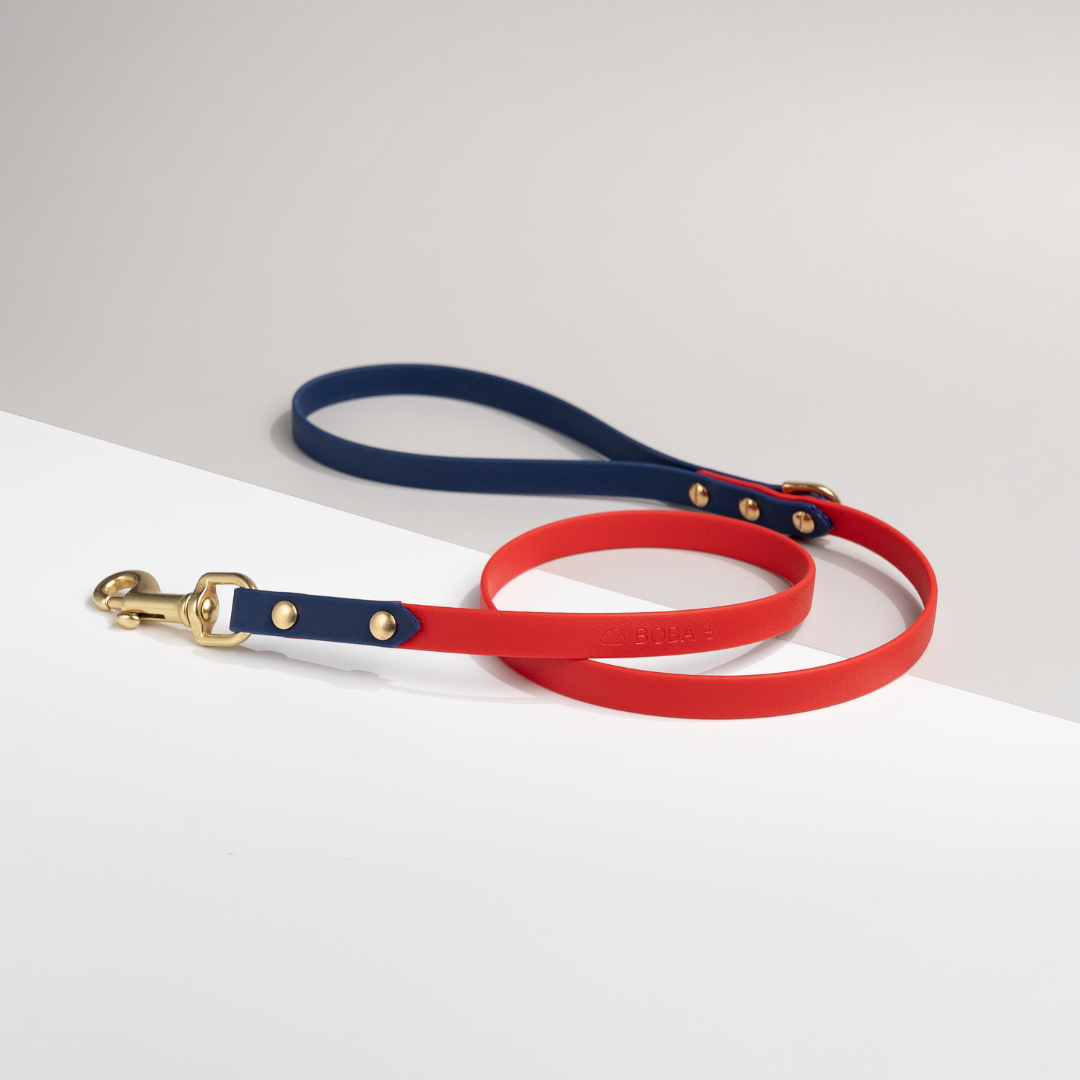 Discover | Classic Leash