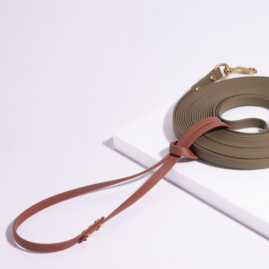 Long Leash Organizer