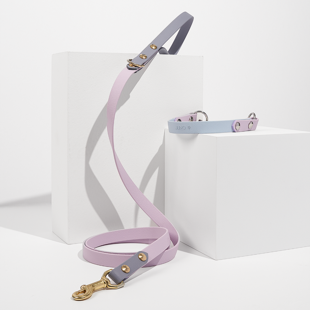 Discover | Classic Leash