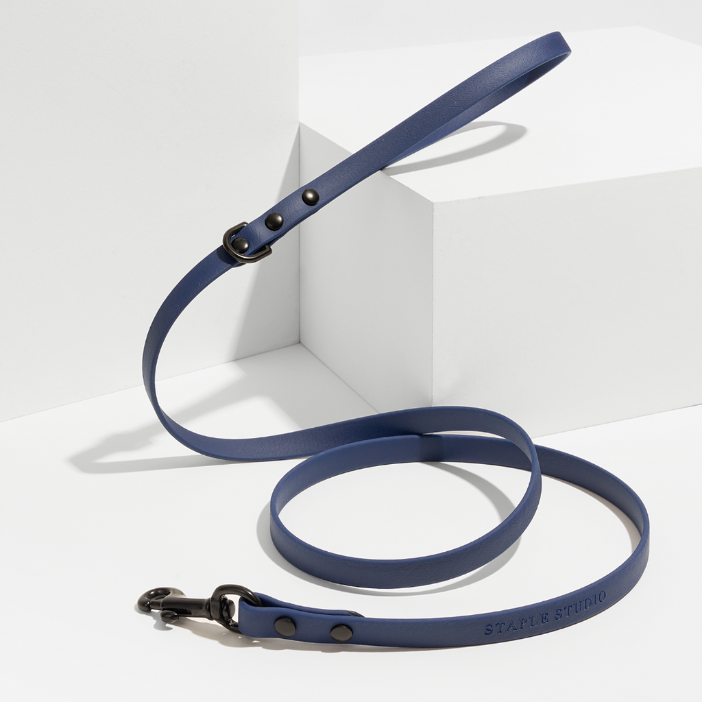 Discover | Classic Leash