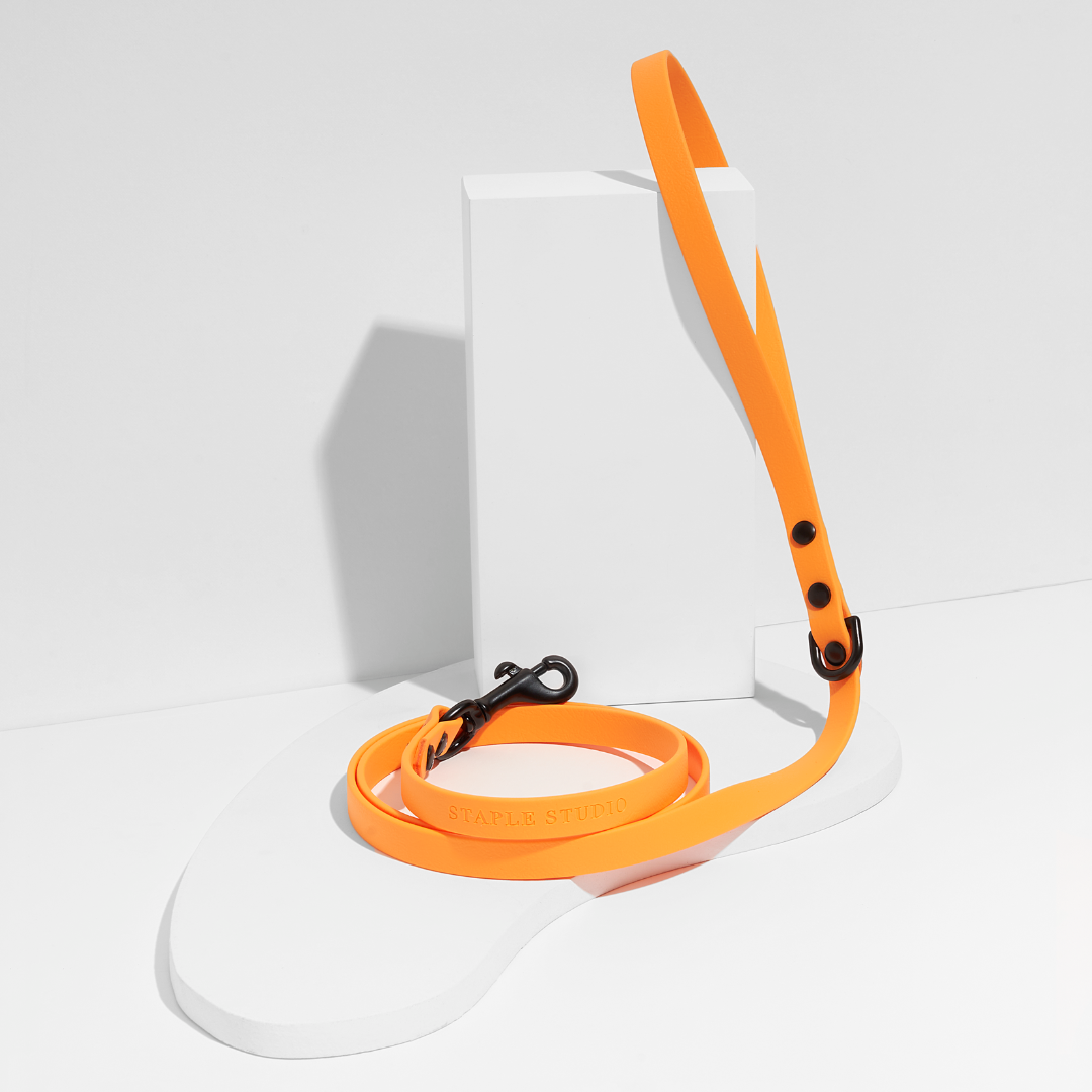 Discover | Classic Leash