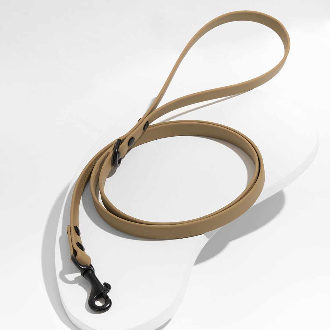 Discover | Classic Leash