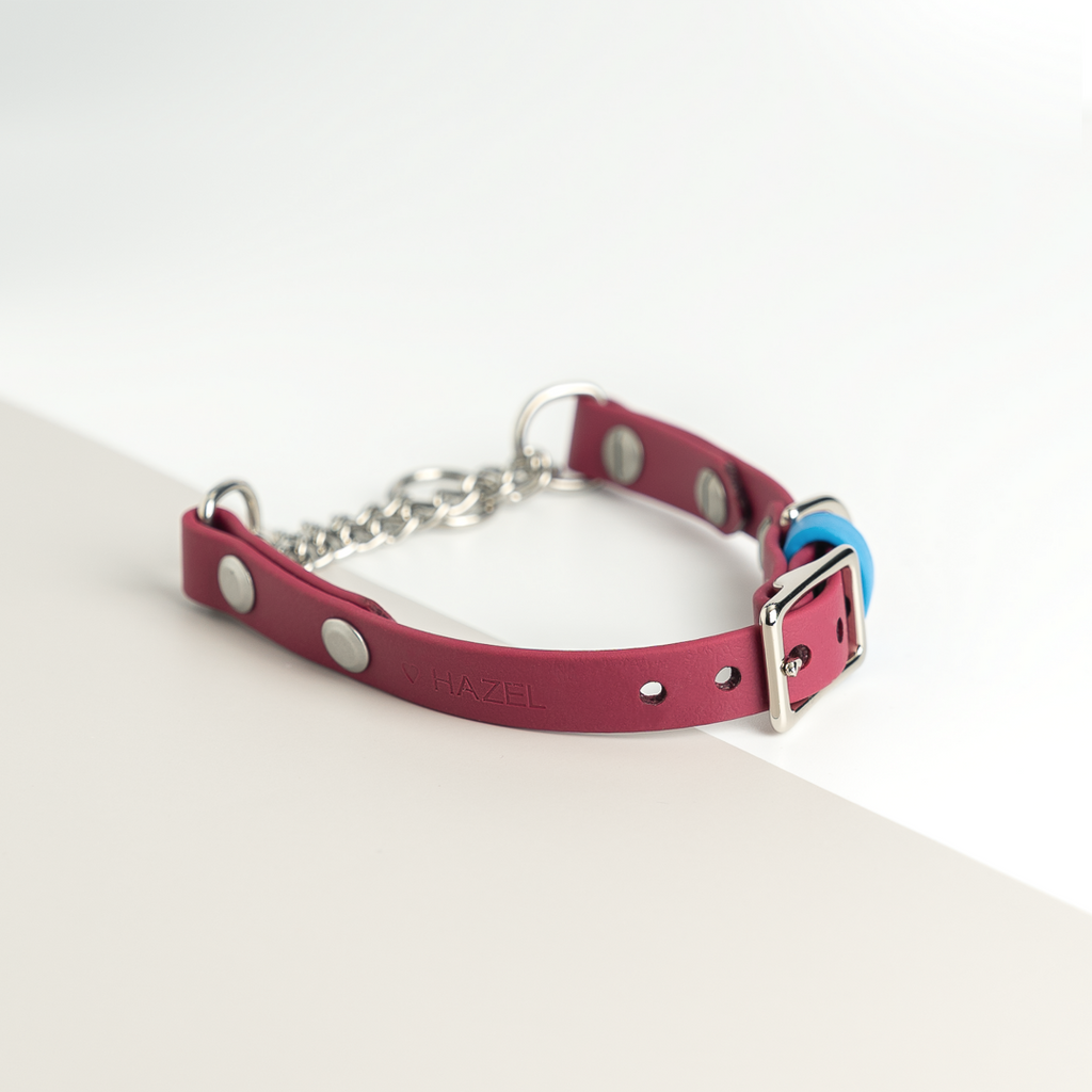 Summit | Adjustable Classic Martingale Collar