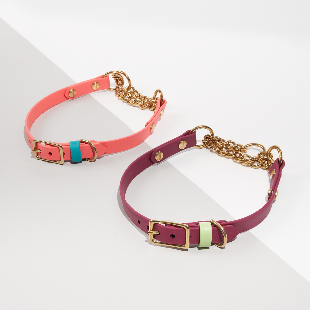 Summit | Adjustable Classic Martingale Collar