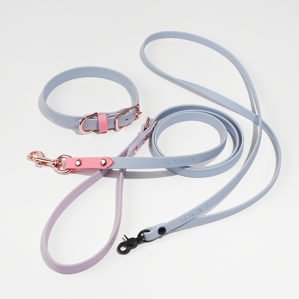 Lanyard