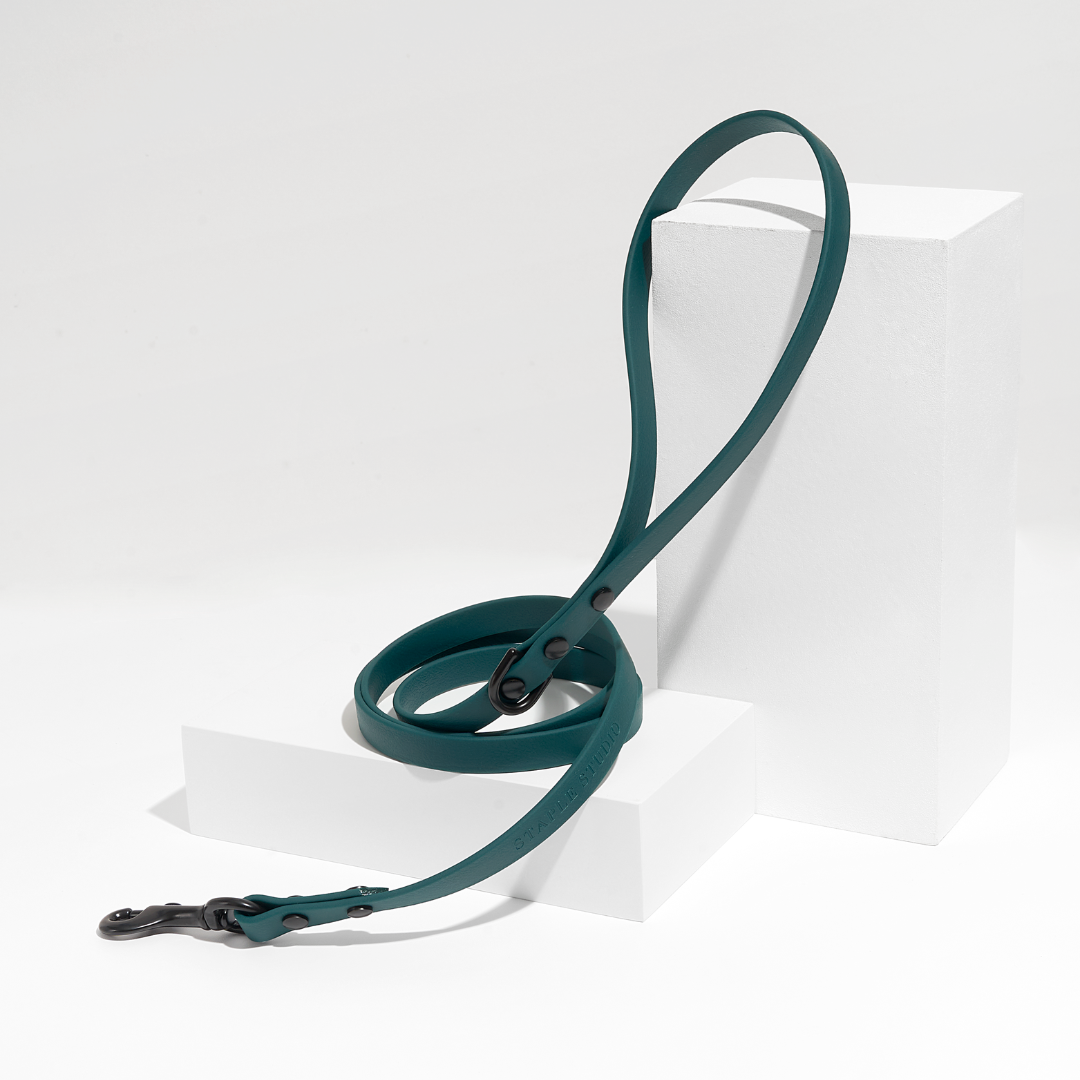 Discover | Classic Leash