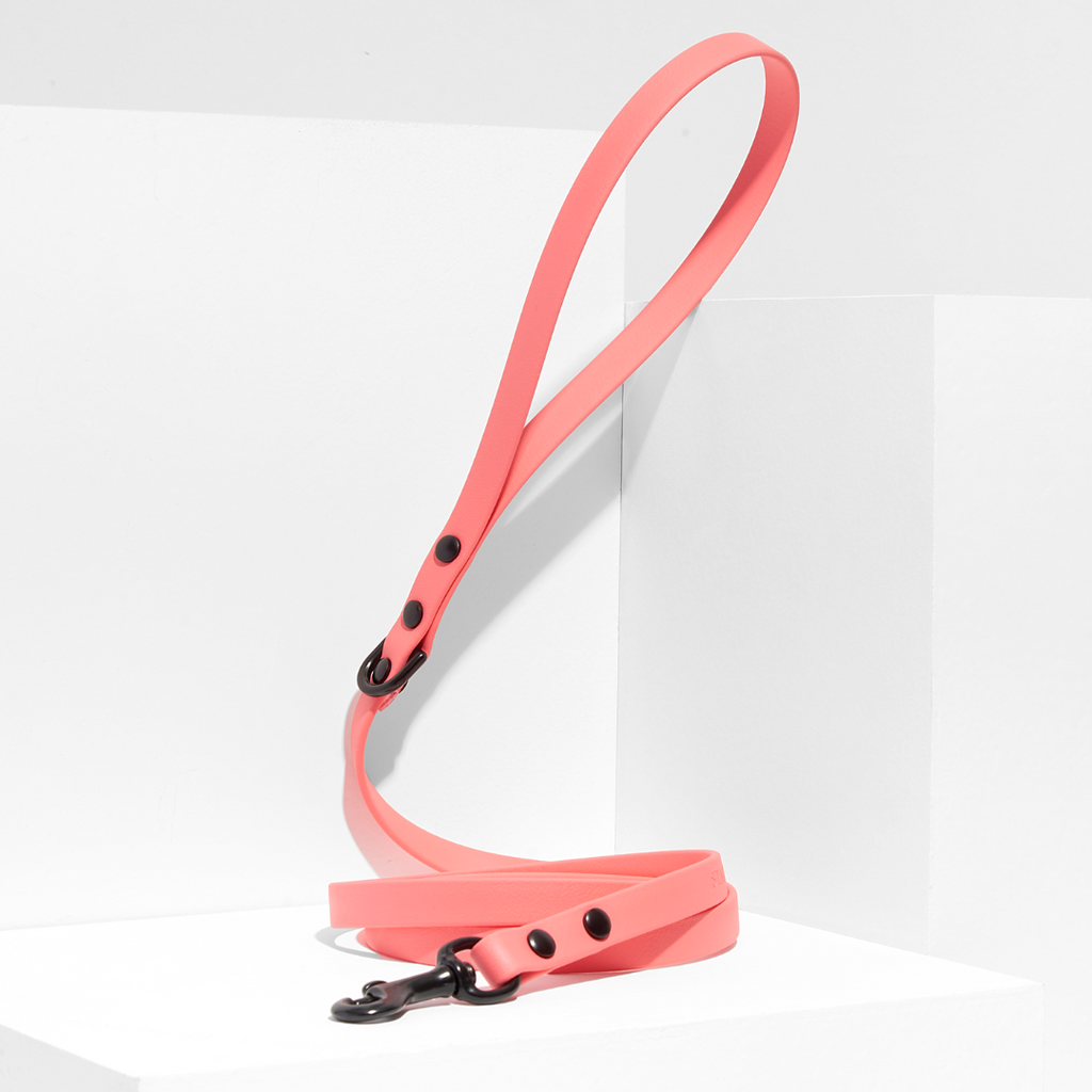 Discover | Classic Leash