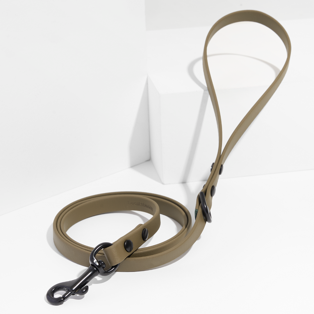 Discover | Classic Leash
