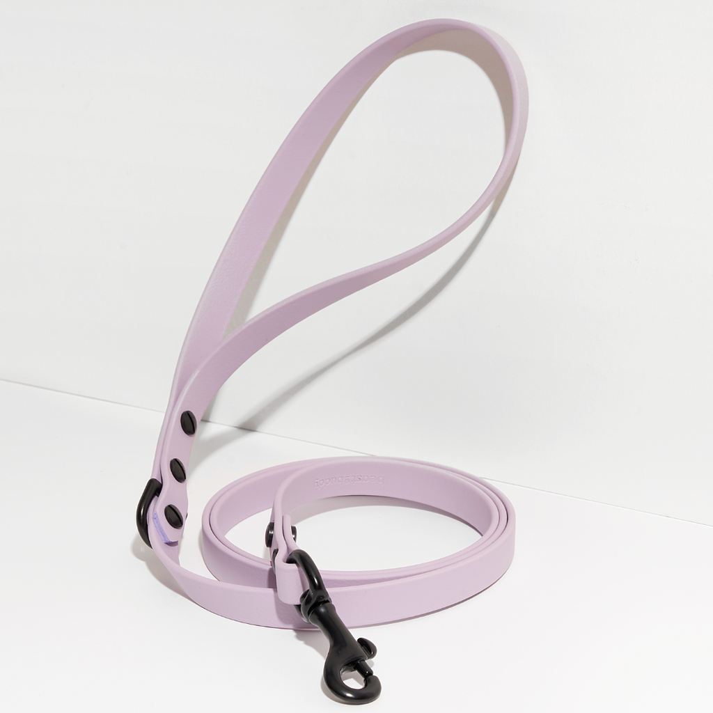 Discover | Classic Leash