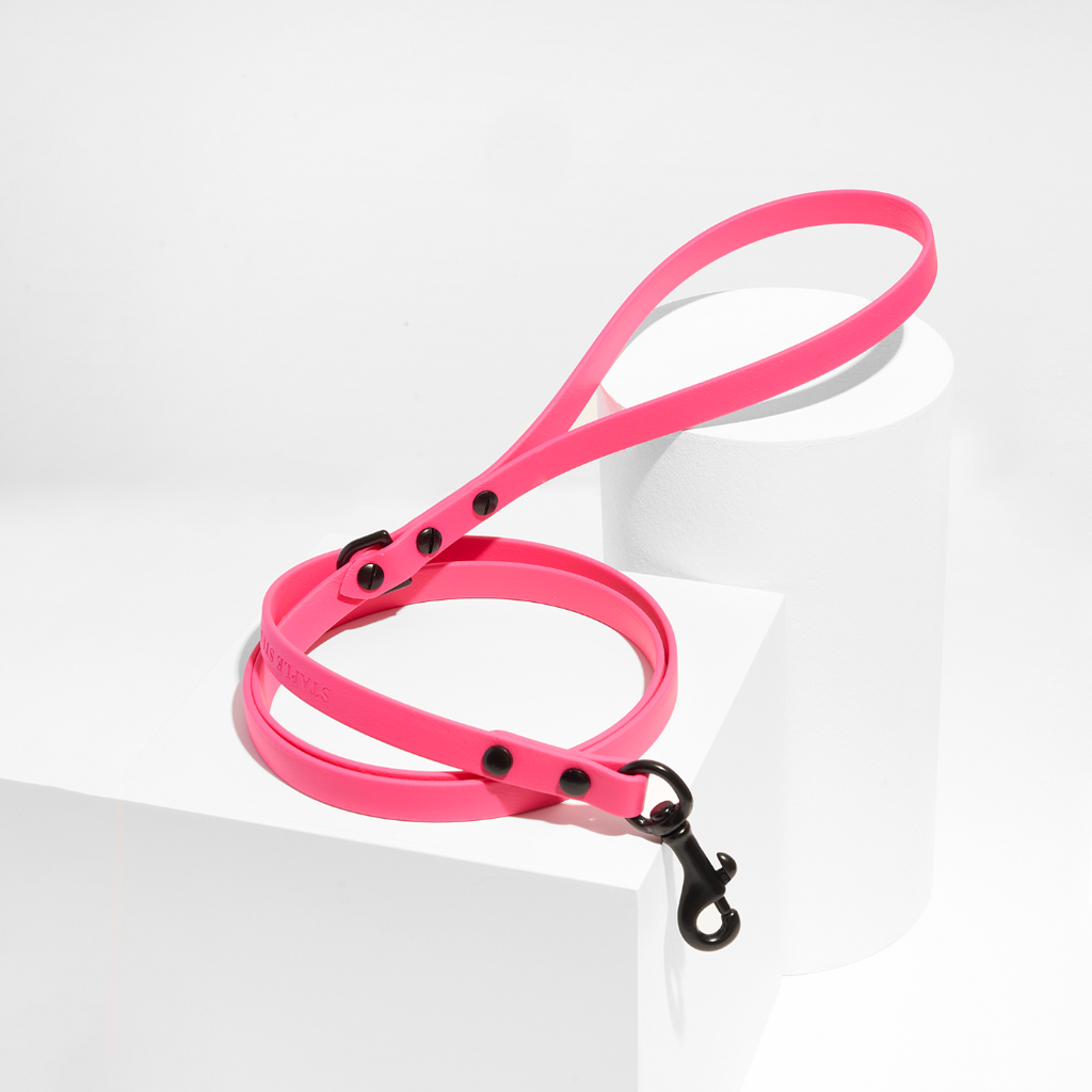 Discover | Classic Leash