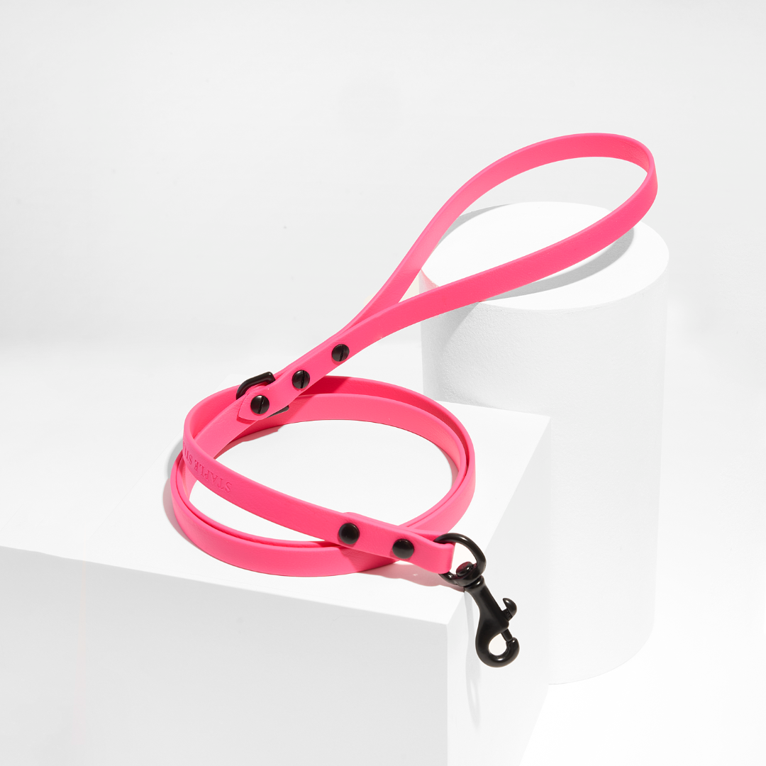 Discover | Classic Leash