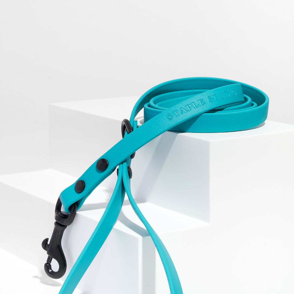 Discover | Classic Leash