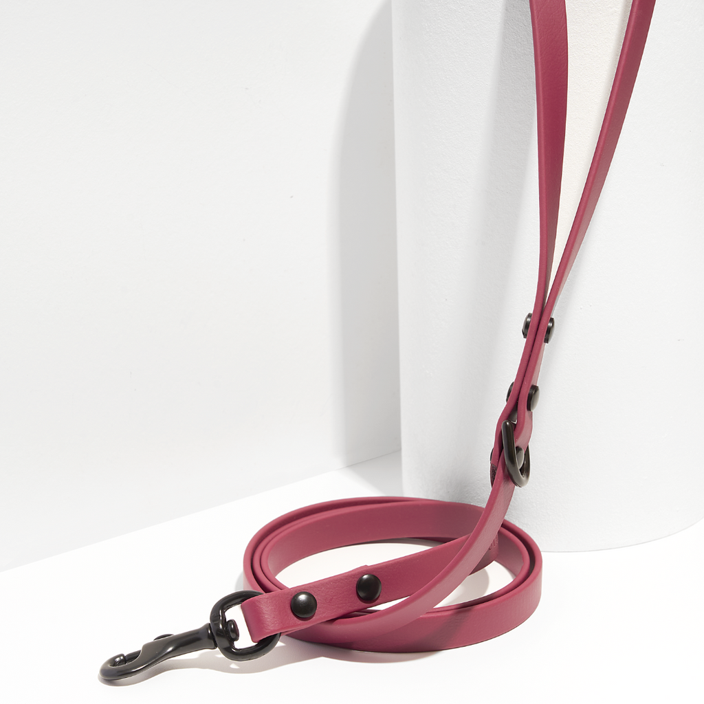 Discover | Classic Leash