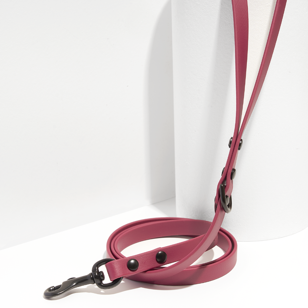 Discover | Classic Leash