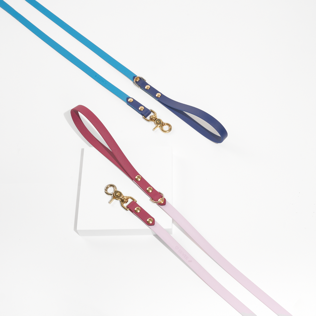 Discover | Classic Leash