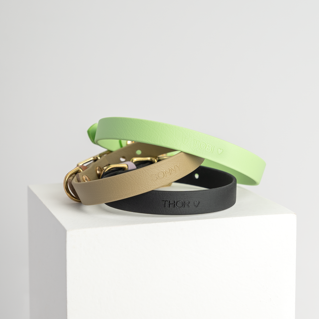 Venture | Classic Collar