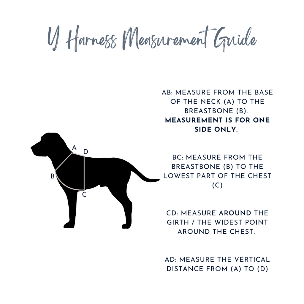 Traverse | Y Harness