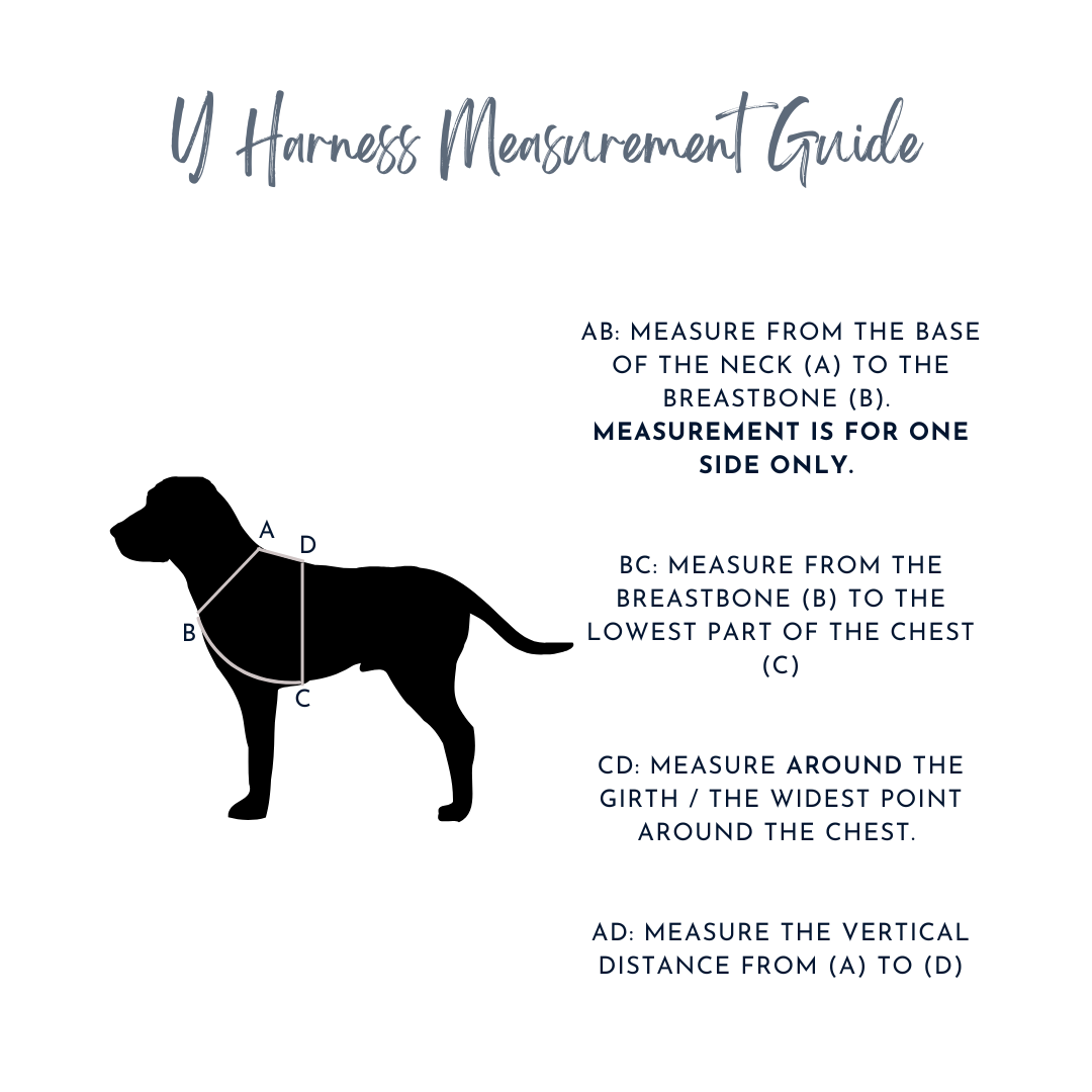 Traverse | Y Harness