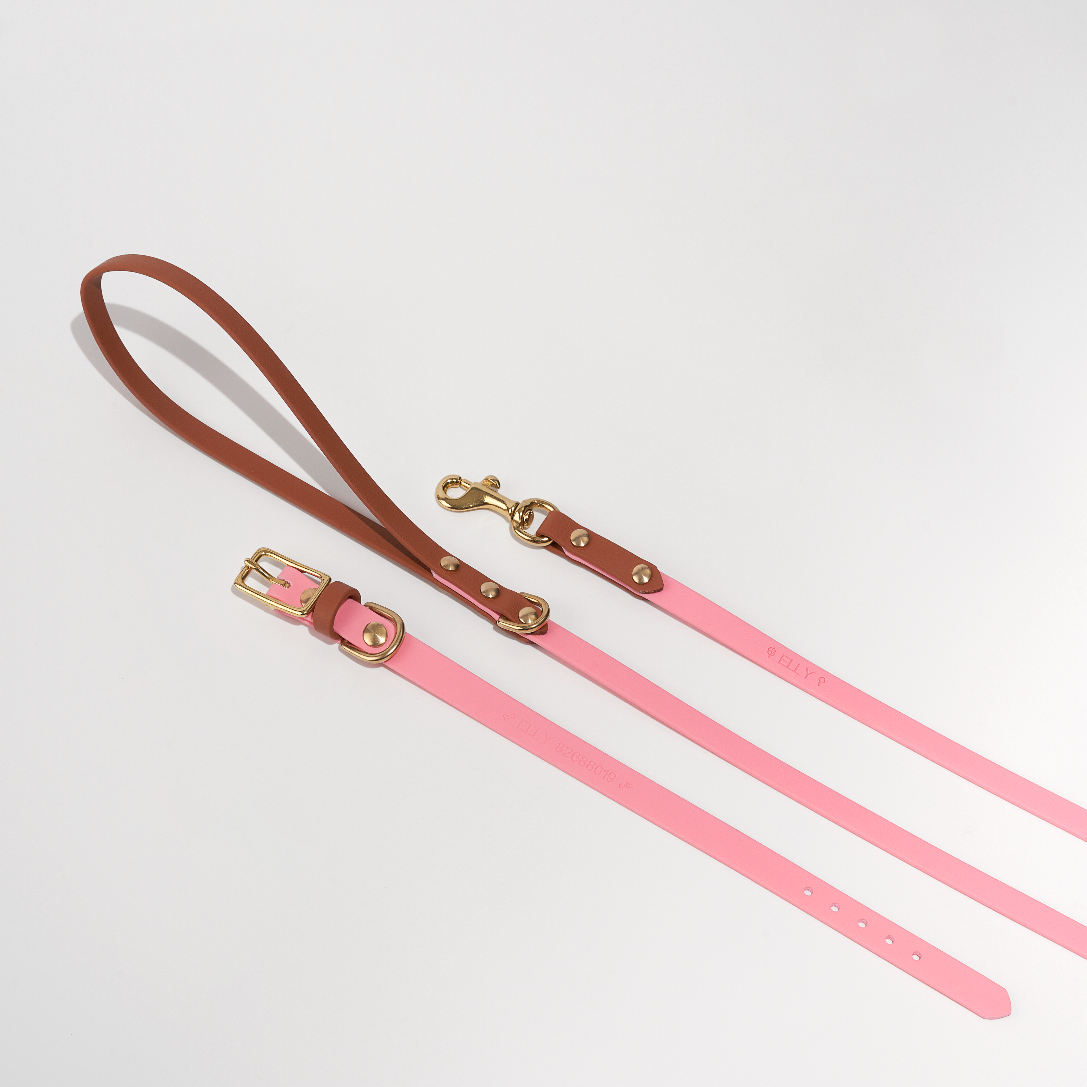 Venture | Classic Collar