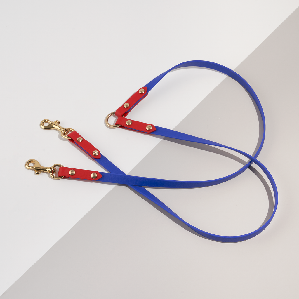 Duo | Split Leashes