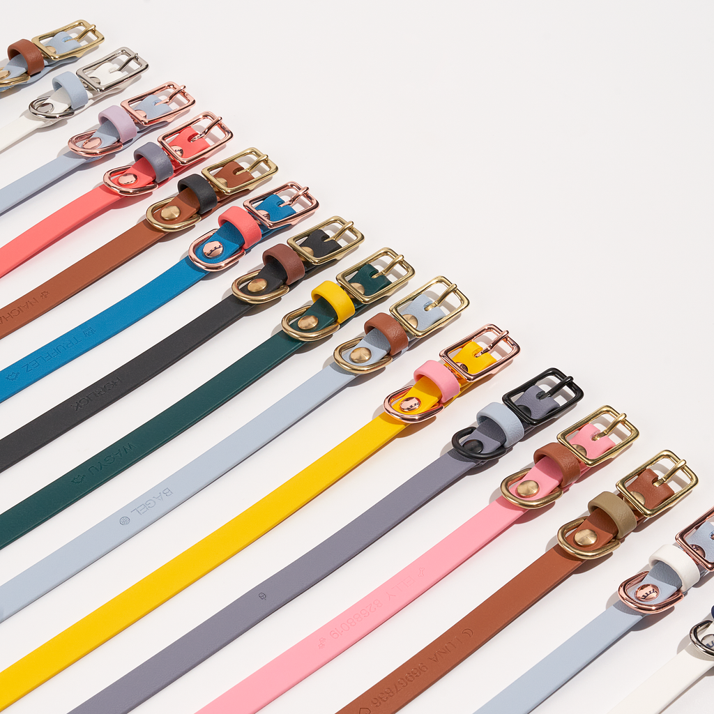 Venture | Classic Collar