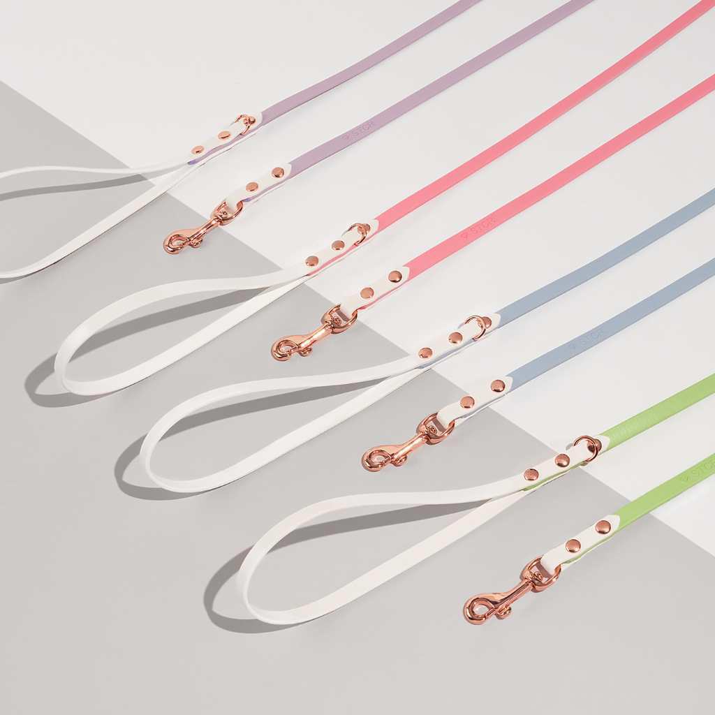 Discover | Classic Leash