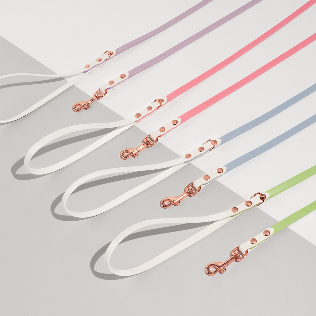 Discover | Classic Leash