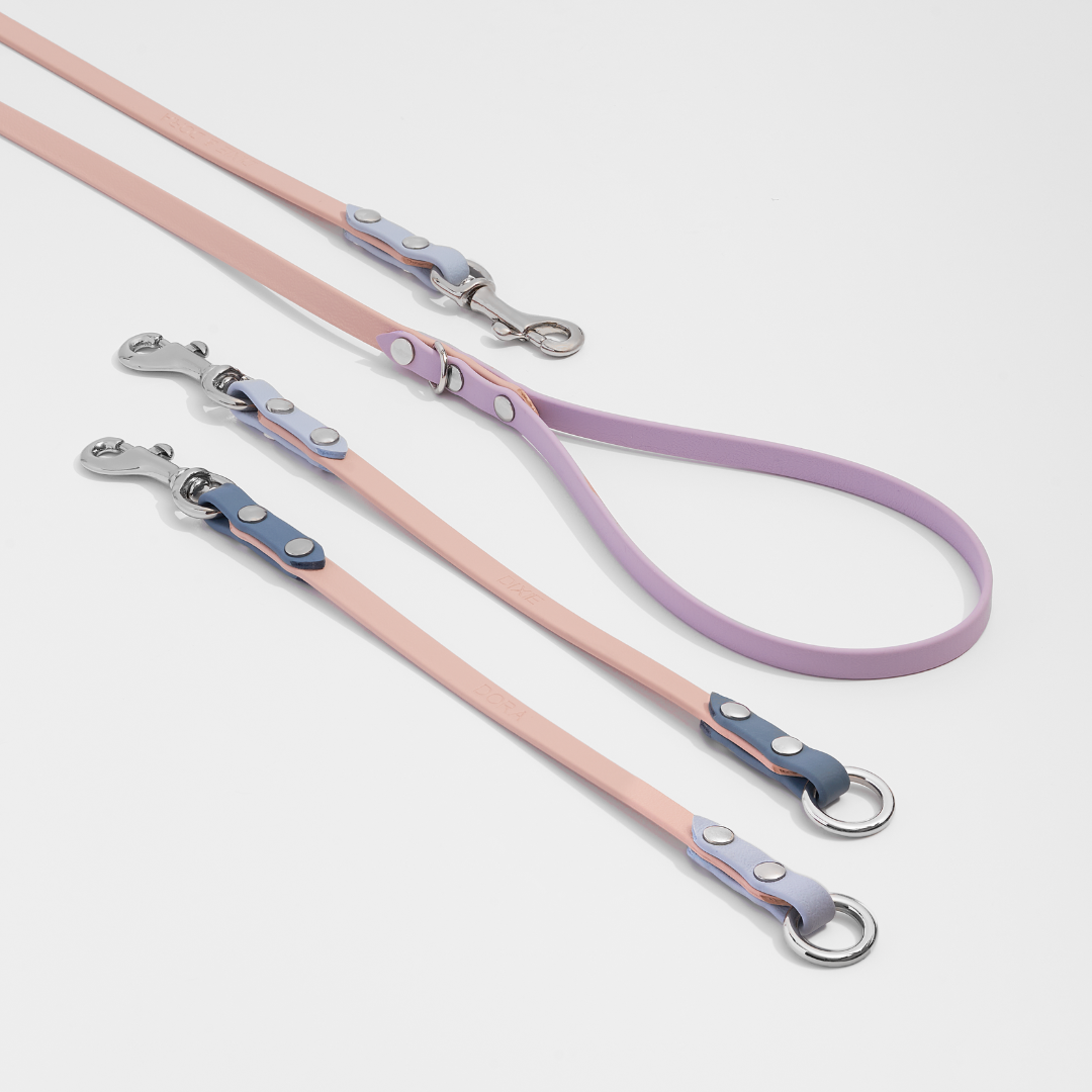 Duo | Split Leashes