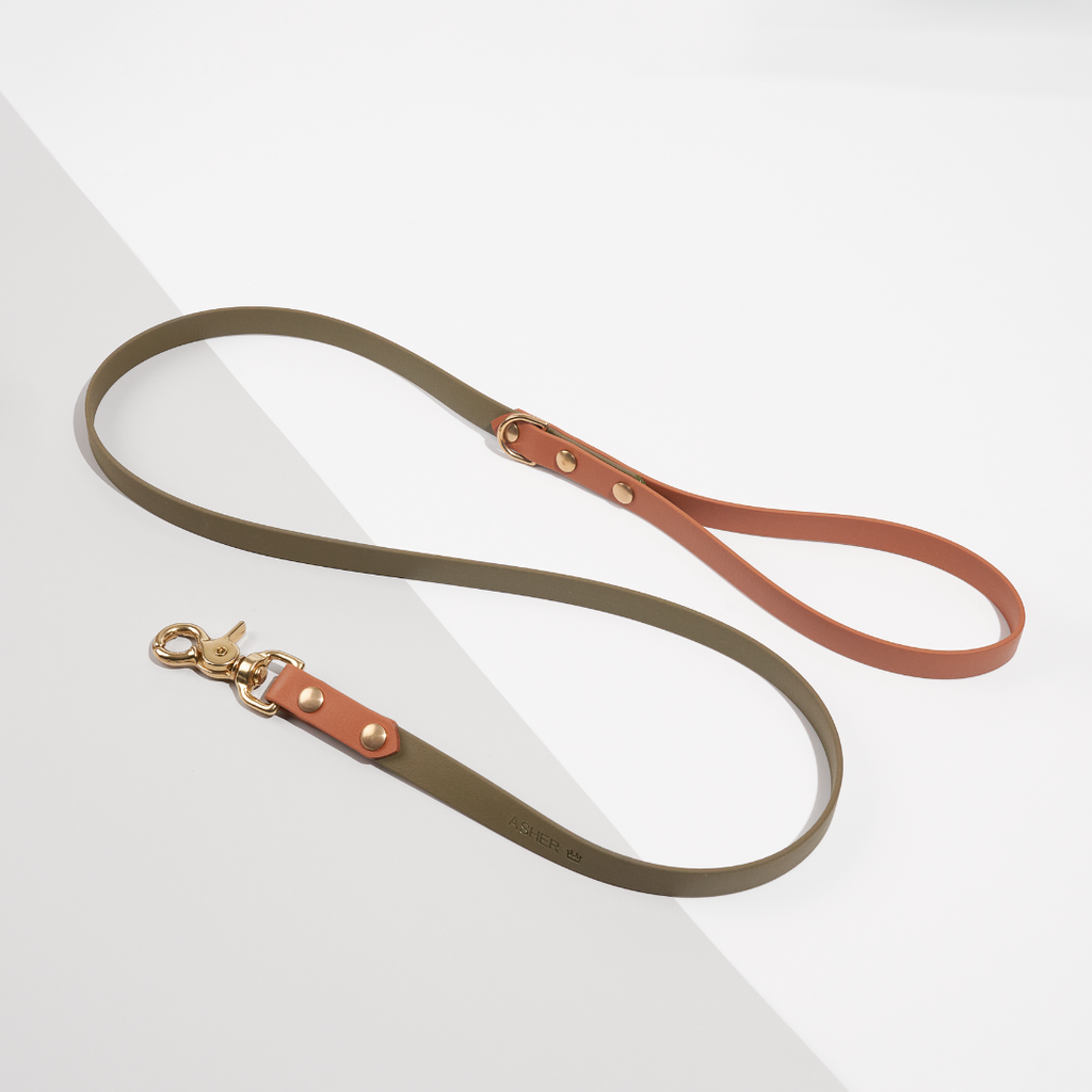 Discover | Classic Leash