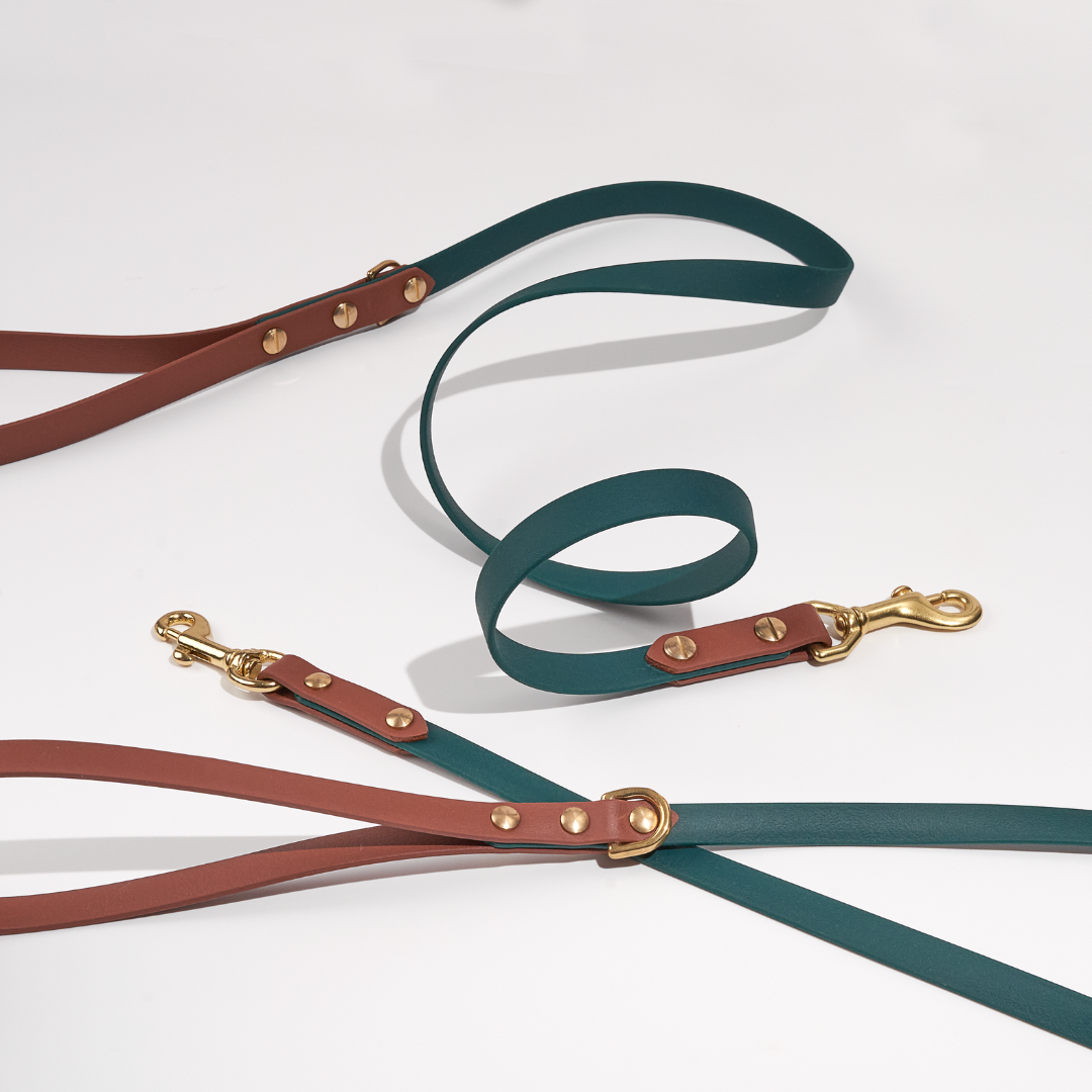 Discover | Classic Leash