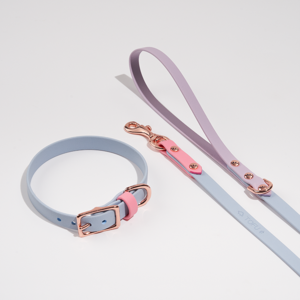 Discover | Classic Leash