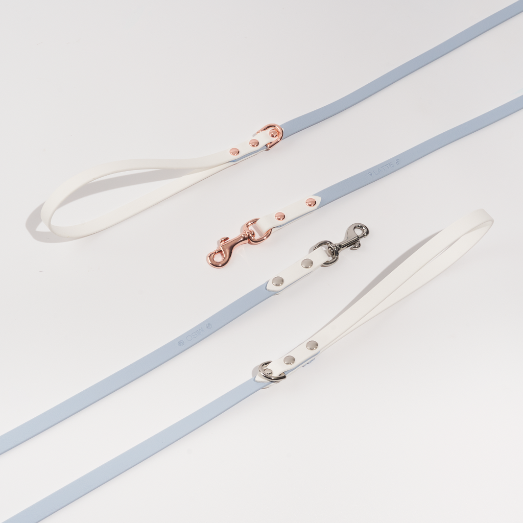 Discover | Classic Leash