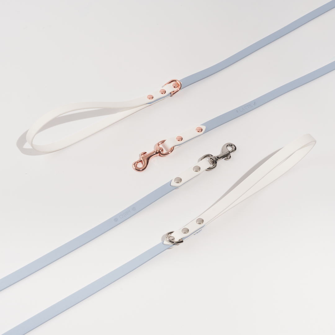 Discover | Classic Leash