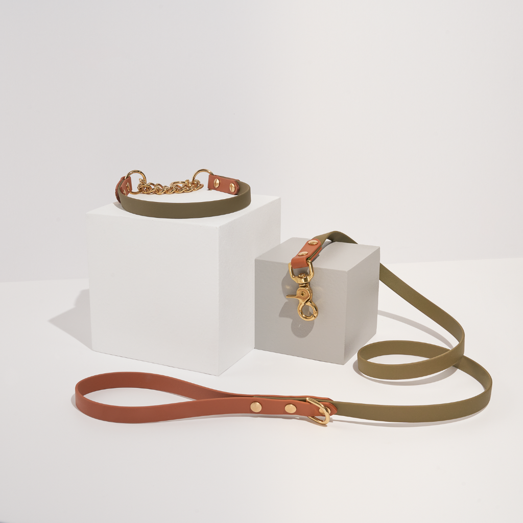 Discover | Classic Leash