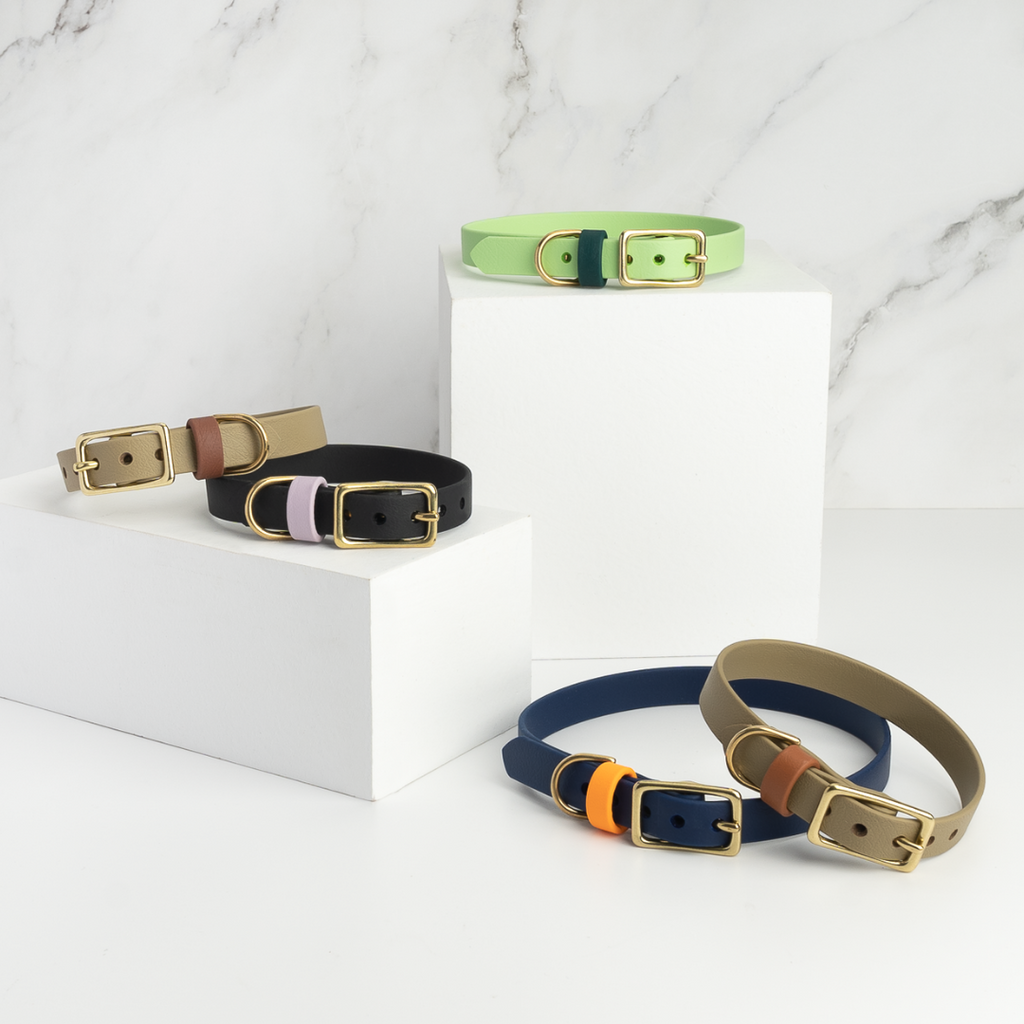 Venture | Classic Collar
